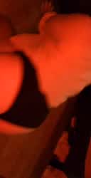 are these the kind of videos you like here?