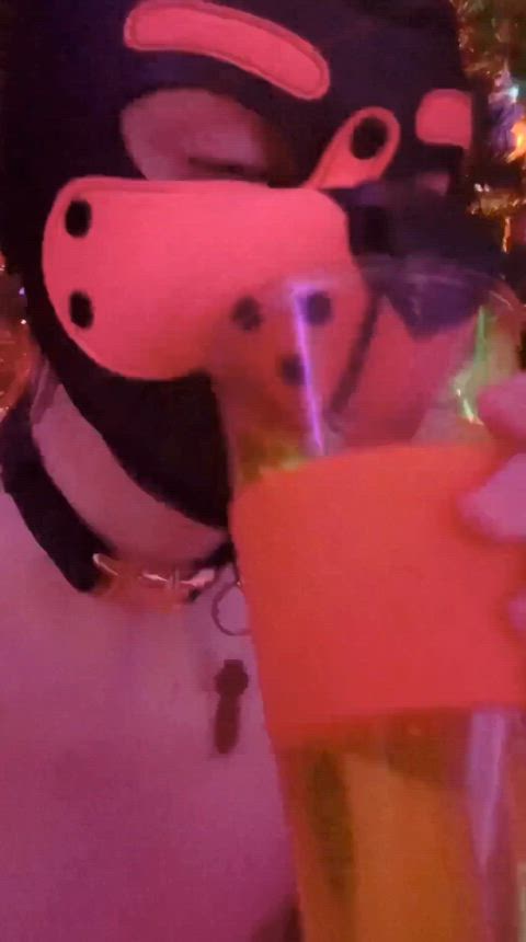 piss pissing puppy clip