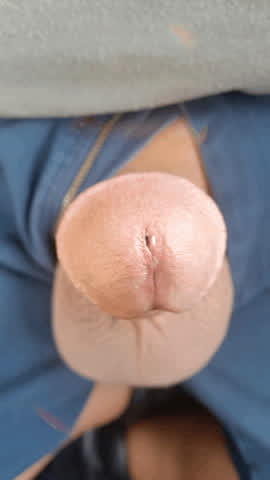 3d big dick cock cock worship clip