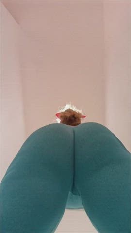 blonde hotwife leggings yoga pants clip