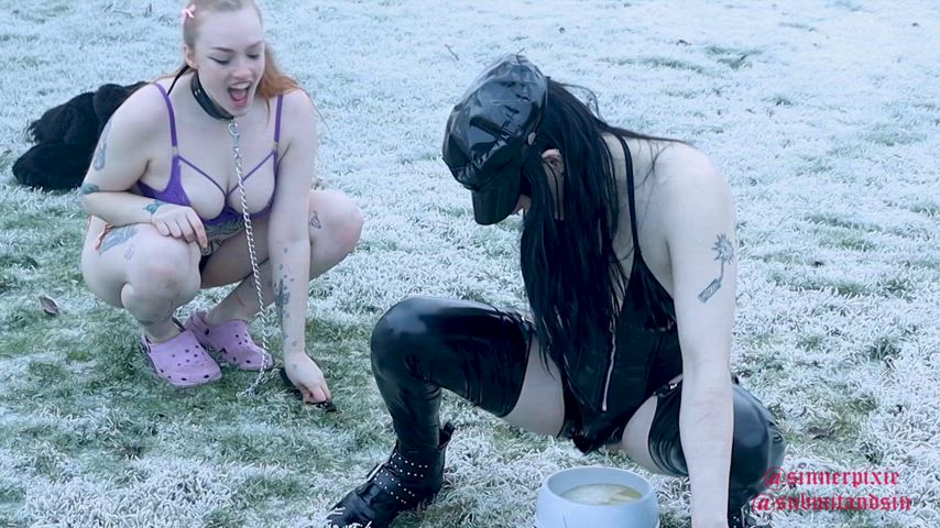 femdom petplay piss pissing puppy watersports clip