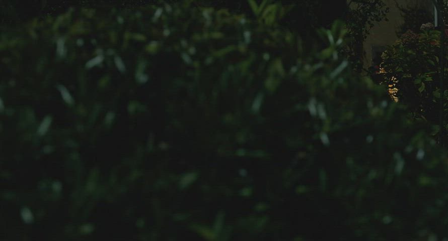 celebrity cinema portuguese clip