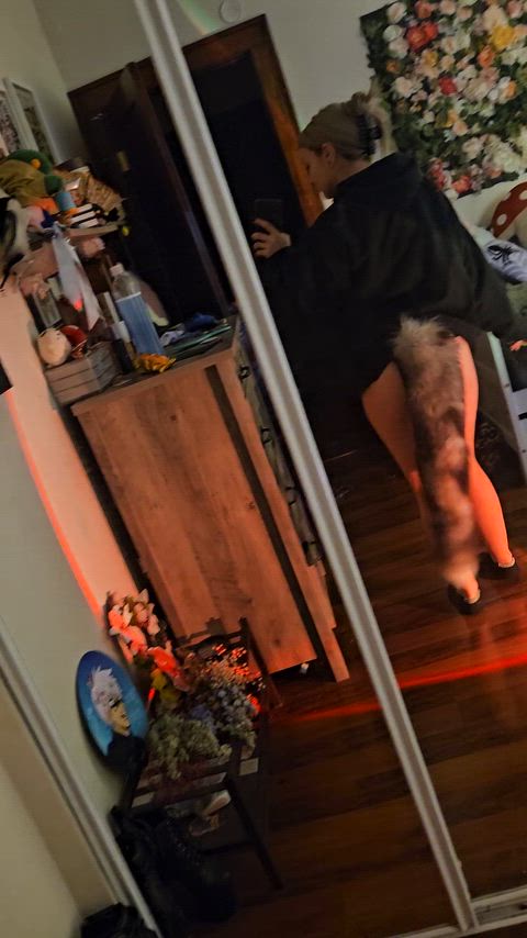 I got a new tail got Christmas