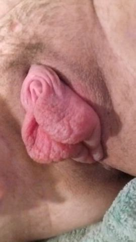 pussy pussy lips pumped pussy clip
