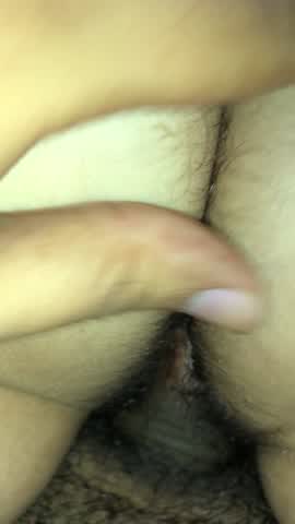 IMG 0210