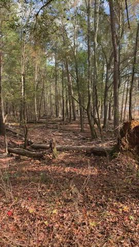 Just look at that scenery!