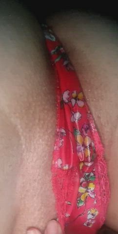 Panties Pussy Pussy Lips clip