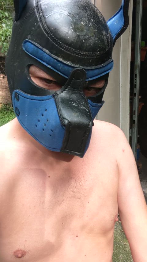 piss public puppy clip