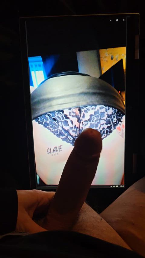 ass cock masturbating tribute r/tributeme asshole-behind-thong sexy-lingerie clip