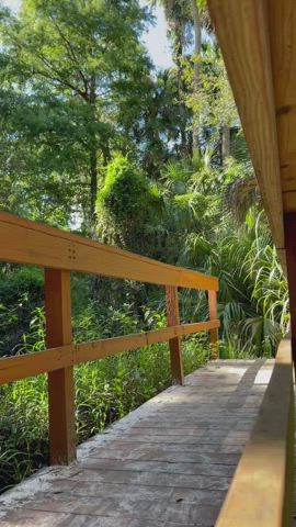 big dick gay hardcore clip