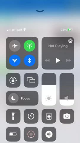 Blonde Blowjob Booty clip