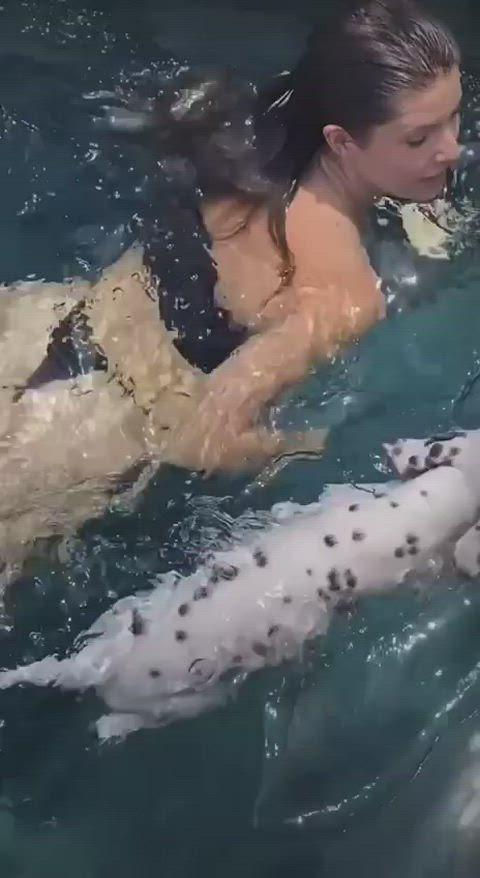 ass brunette cute bikinis clip