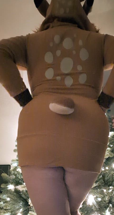 Cassie the Chubby Reindeer πΆ