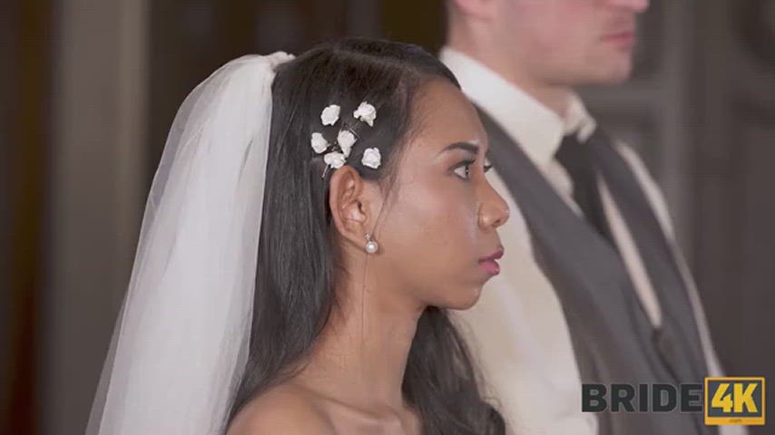 bride dress wedding brides clip