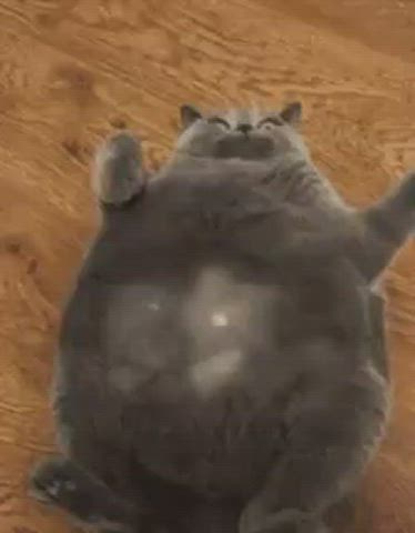 Cute Dancing Tickling clip