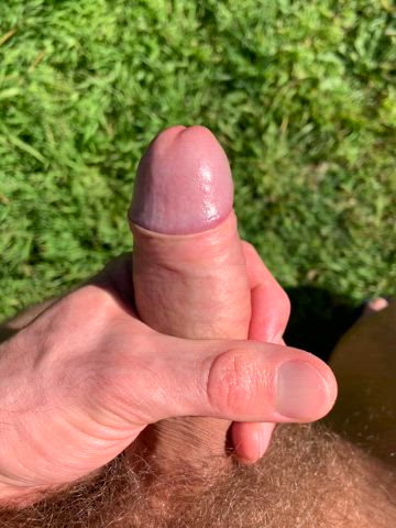 My uncut cock in the sun โ๏ธ ๐