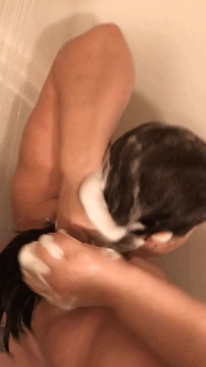 Shower clip