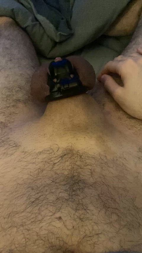 Day 146 locked. Here's my morning wood and full balls 😵💫