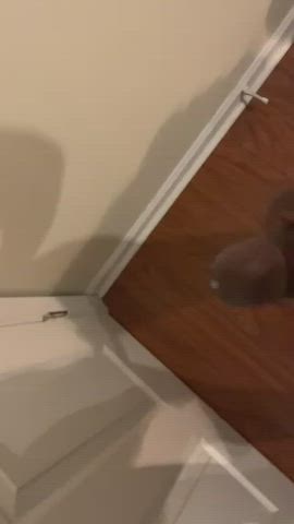 Big Dick Cumshot Nude clip