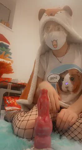 cute dildo femboy funny porn gay clip