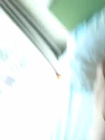 wife clip