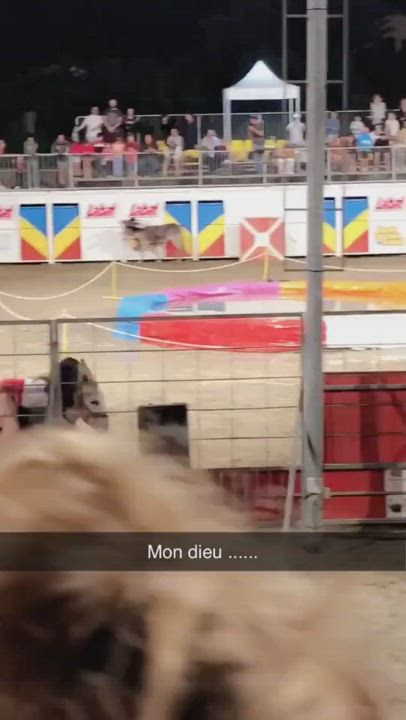 Just a girl riding a donkey
