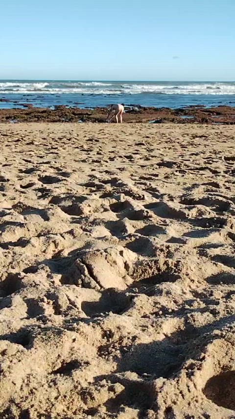 beach nudist slave clip