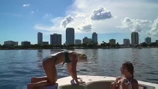 clip