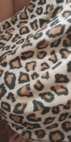 Ass Grool Pussy clip