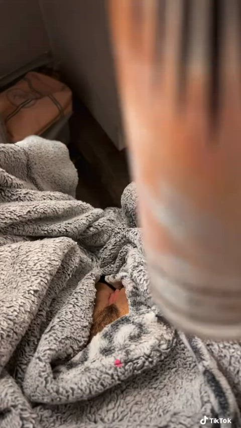 flashing hairy hairy pussy pubic hair pussy pussy lips tiktok clip