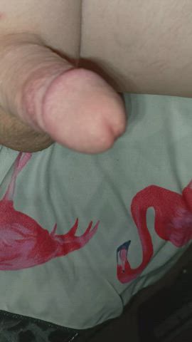 cbt sissy trans clip