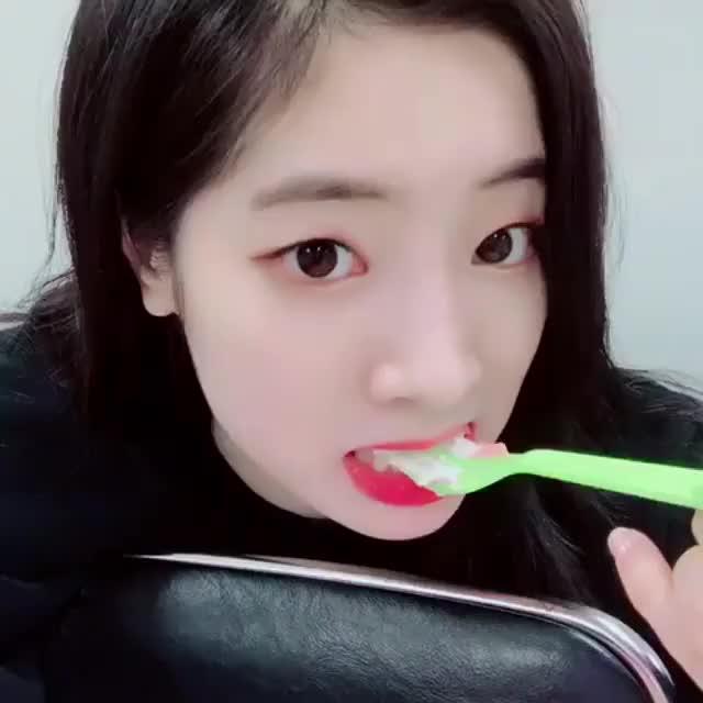 Dubu