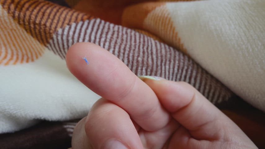 Shrunk my play thing into a micro toy