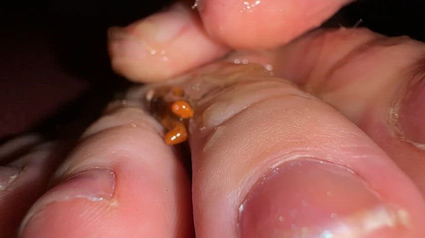 feet feet fetish foot foot fetish giantess tiny waxing giantess-irl clip