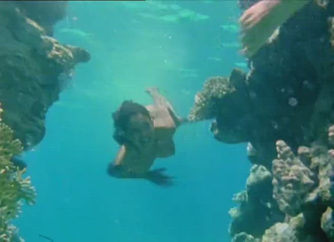 Celebrity Nude Swimming Pool clip