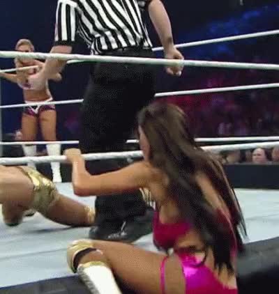 Rosa Mendes