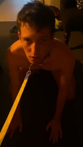 very obedient x