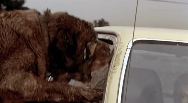 Cujo-720