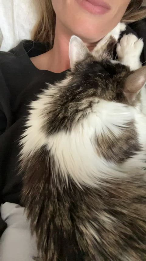 I hope you got your cuddles this morning π