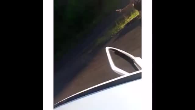 【放送事故レベル】痛すぎる爆笑Vine198連発まとめ 100%笑える動画ついに公開