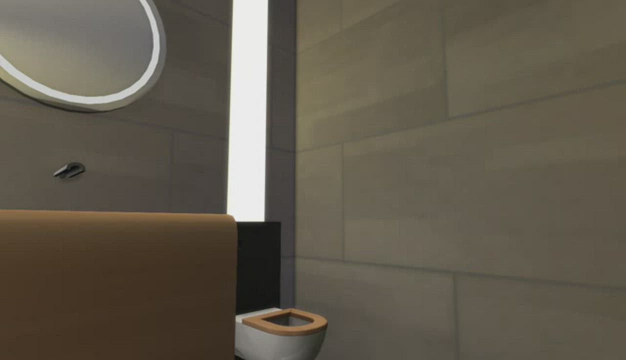 Toilet clip
