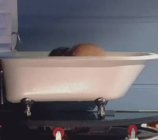 hailee steinfeld long hair wet clip