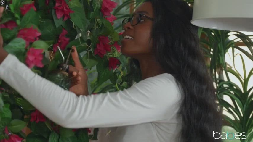 Ebony Hardcore Pornstar clip