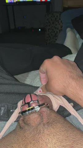 Chastity Cock Trans clip