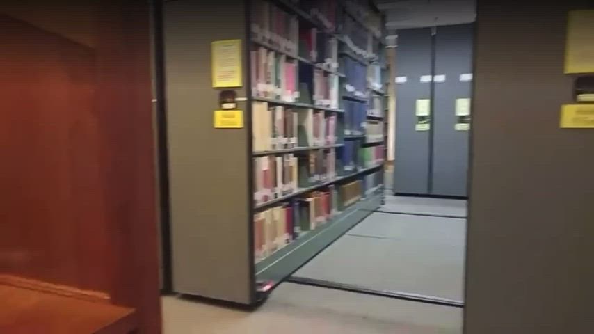 College Library Fun π³