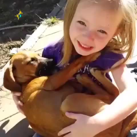clip