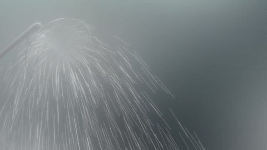 Public shower fuck