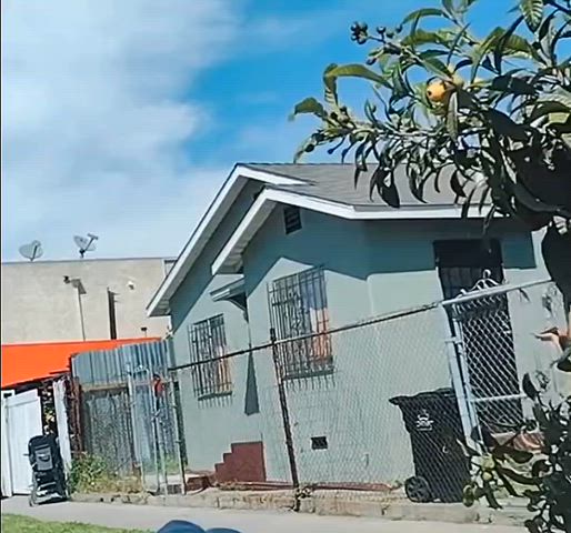 ebony escort prostitute clip