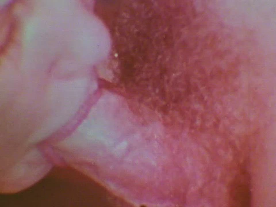Brunette Facial Vintage clip