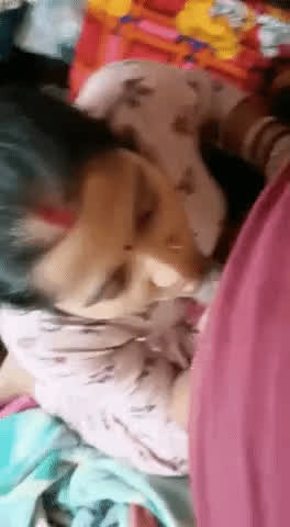 bhabi desi indian clip